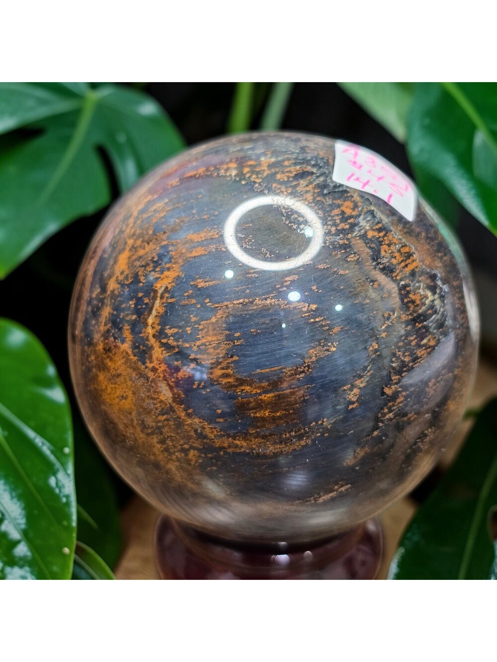 A359. RARE - Blue/Gold Pietersite Natural Crystal 65mm Sphere Orb